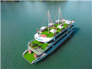 Hạ Long 1 ngày cao cấp | Apolo Cruise | New 