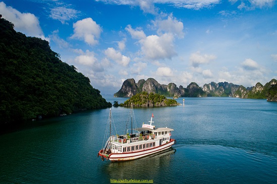 tour ha long VIP 1 ngày aviva